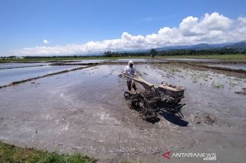 Dukungan Kelembagaan dan SDM mewujudkan pertanian yang maju mandiri dan modern