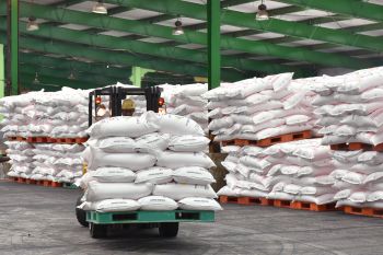 PT Pusri pastikan stok pupuk subsidi Lampung cukup