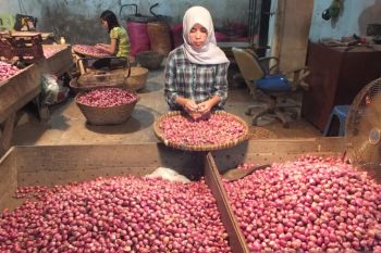 Harga bawang merah di pasar tradisional Jember masih tinggi