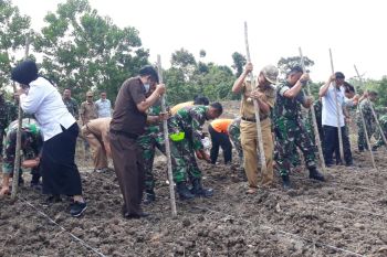 Wabup Waykanan hadiri peluncuran ketahanan pangan di jajaran TNI AD