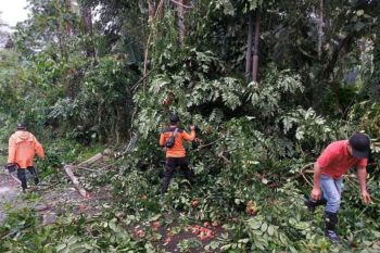 BPBD Minahasa Tenggara meminta warga waspadai cuaca ekstrem