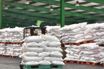 309 ribu ton pupuk bersubsidi telah disalurkan di Lampung
