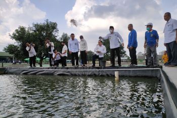 Wali Kota Metro wacanakan "Landbouw" jadi tempat agroeduwisata