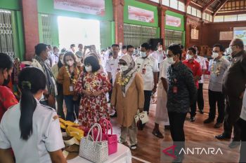 Delegasi negara ASEAN lihat pengembangan desa di Bali