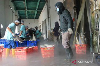Survei BI indikasikan kinerja dunia usaha terjaga pada triwulan I 2026