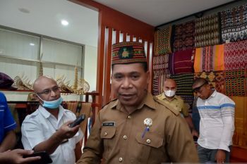 Penataan kawasan wisata Komodo tak berdampak pada kerusakan eksosistem