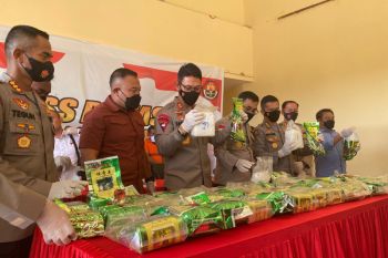 Polda Kaltara amankan 47 kilogram sabu di perbatasan