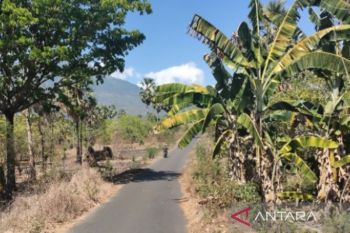 Bagian wilayah Sumba Timur alami HTH ekstrem panjang