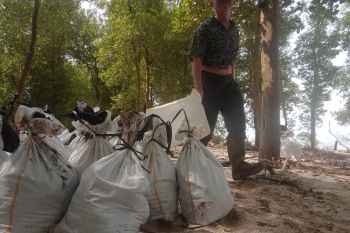 PHE OSES berkomitmen bersihkan ceceran minyak di pesisir pantai Labuhan Maringgai