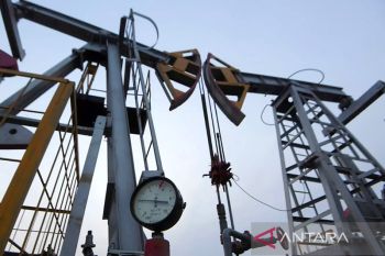 Naik 2 dolar AS, harga minyak