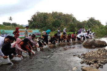 Sebanyak 14 pasangan pengantin di Kulon Progo tebar 2.000 benih ikan