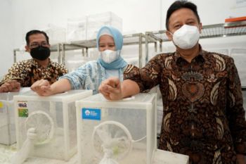 Menkes tertarik kembangkan inovasi Wolbachia tekan kasus dengue