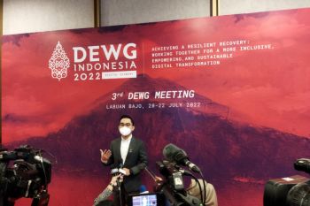 DEWG tekankan penguatan tata kelola data lintas negara