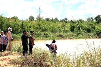 Pemkot Tanjungpinang imbau warga tidak beraktivitas di areal rawan buaya