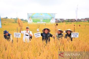Sumsel ajak mahasiswa pertanian gaungkan kemandirian pangan