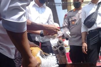 Polisi musnahkan puluhan kilogram narkoba di Lampung