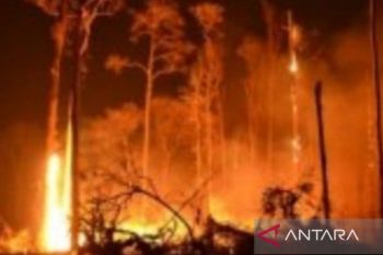 BMKG bilang seluruh wilayah NTT berstatus mudah terjadi karhutla