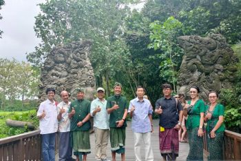 Anggota DPD: kendalikan populasi kera di Monkey Forest