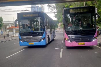 BUMD TransJakarta operasikan lagi bus "pink" khusus wanita
