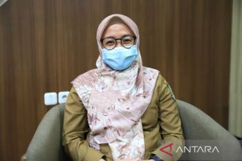 Belasan warga terindikasi chikungunya