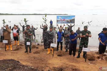 Ikut pecahkan rekor MURI, Lantamal IV tanam 4.500 mangrove di Dompak
