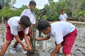 Pelajar sekolah dasar  diajak menanam bibit mangrove di Pantai Donggala
