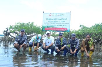 Lantamal VIII tanam mangrove di  pantai Desa Budo