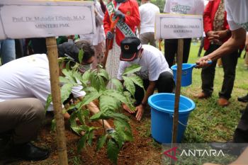 Menko PMK  menggencarkan penanaman 10 juta pohon untuk mitigasi bencana