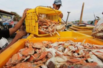 East Kalimantan's seafood exports gain global reach