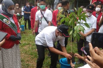 Menko PMK : Dua juta pohon telah ditanam melalui program GNRM
