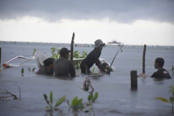 Bappenas dorong G20 wujudkan karbon biru untuk kurangi dampak perubahan iklim