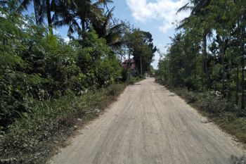 BPBD: Lombok Tengah akan tetapkan siaga kekeringan