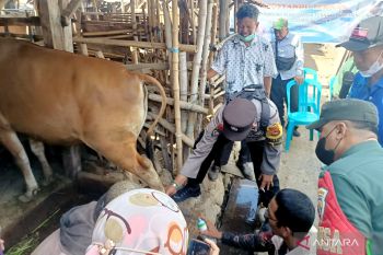 Polresta Mataram bentuk Tim Posyandu Ternak tangani PMK