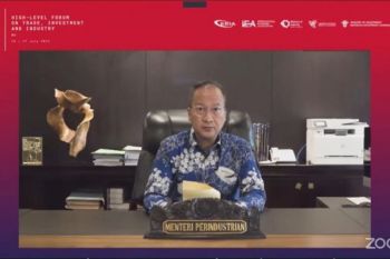 TIIWG can help achieve sustainable industrialization: minister