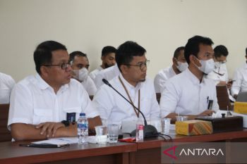 PLN dukung  peraturan daerah soal pengendalian pohon sekitar jaringan
