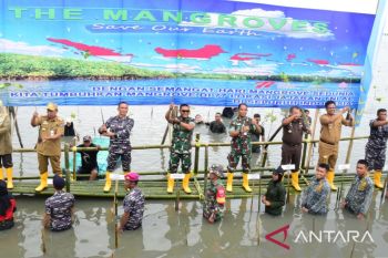 Prajurit Lantamal VI lakukan penanaman 5.000 bibit mangrove di Pantai Untia