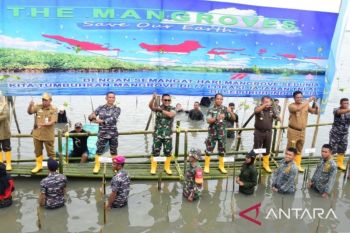Prajurit Lantamal VI Makasar lakukan penanaman 5.000 bibit mangrove