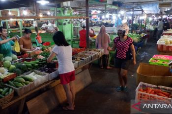 Harga cabai di Tanjungpinang berangsur turun