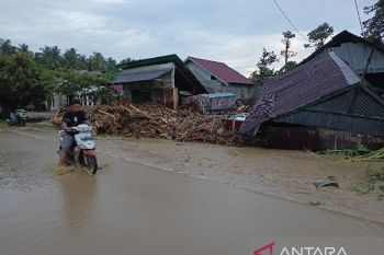 Banjir memaksa warga mengungsi  di Torue, Parigi Moutong