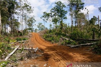 KPHP Mukomuko Bengkulu tegur pelaku jual beli kawasan hutan