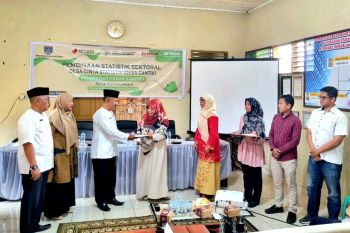 BPS tetapkan Kelurahan Pakan Sinayan Kota Payakumbuh jadi desa pembinaan statistik