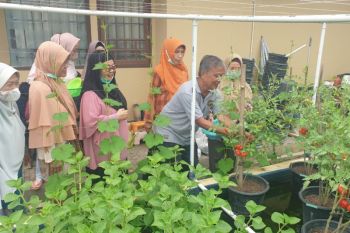 Dosen Unsri edukasi pertanian perkotaan di komplek perumahan