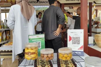 Lampung kembangkan komoditas substitusi untuk kurangi impor bahan pangan