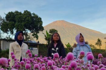 Pesona destinasi "Arum Rinjani Park" di kaki Gunung Rinjani