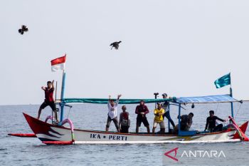 Tradisi lomba ayam sap-sap Situbondo jadi agenda tahunan