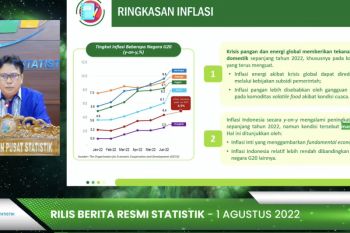 BPS: Inflasi tahunan 4,94 persen masih relatif terjaga