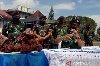 Lantamal VI amankan 324 koli koral merah di Perairan Pangkep