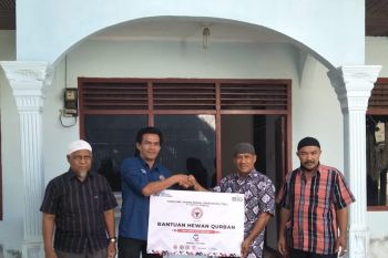 Semen Padang Salurkan 29 Ekor Sapi Kurban untuk Masyarakat Lingkungan