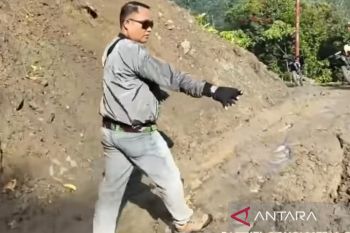 Pemkab Sigi dorong masyarakat tanam pohon cegah longsor