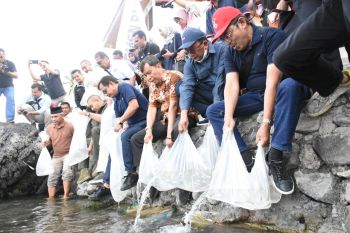 Semen Padang kembali sebar ribuan ikan bilih ke habitat asli Danau Singkarak